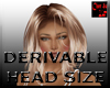 DERIVABLE HEAD size