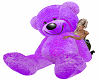 Lilac Teddy with Pose