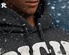 Lv Rich