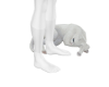 C| White cat (PET)