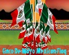 CincoDeMayo Mexican Flag