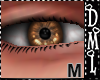 [DML] Brown Eyes M