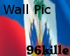 Haitian Flag Pic
