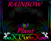 Rainbow plant