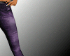 DK Purple Jeans