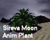 Sireva Moon Anim Plant