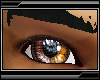 [H] autum eyes