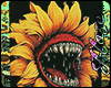 IH] SUN MONSTA FCARD