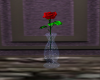 Red Rose in A Vase