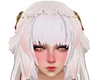 Bangs A4