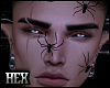 Ani Spiders