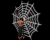 Spider Web Kiss