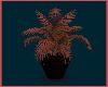 Palm plant 2