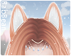 B|Foxy Ears - Strawberry