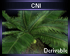 Derivable Plant V48