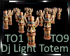 *Totem Dj Light