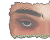 Eyebrows I