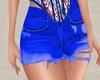 4th Bluez Skirt