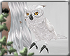 ~E- Snowy Owl Pet