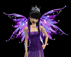 >C89< Violet Fairy