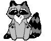 Raccoon