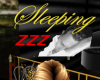 Sleeping sign