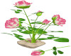 Pink&White Roses&Planter