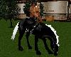 NS Black Pasture Horse