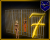 ! Iron Jail Door 7