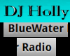 BlueWater Radio