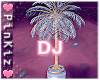 DJ Palm in Pot