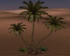 Anantara Palm Trees