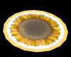 Sunflower Rug