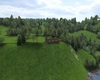 TA Wooded Home