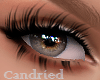 Beaituful Brown Eyes R