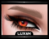 L|| Lux Blonde Eyebrows