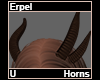 Erpel Horns
