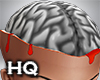 Exposed Brain V1