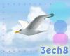 Animated Seagull