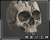 R║ Skull Candle