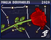 a rose {f « drv