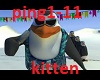 Schiffie -Pinguïndans