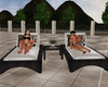 Miami Pool Lounge Chairs
