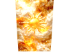 Anim. Sun Cutout