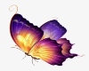Butterflies belly tattoo