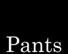      !!A!! Stussy Pants