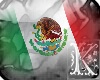 Mexico flag (m/f)