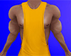 Gold Muscle Tank Top 2 (M)