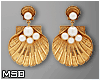 B | Shell Gold Earrings