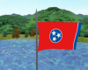 Tenn State Flag